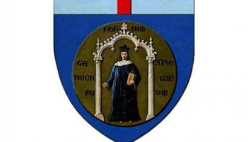 Emergenza COVID-19: esperienze degli infermieri italiani