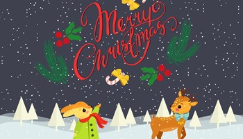  L'Ordine delle Professioni Infermieristiche di Genova augura Buone Feste