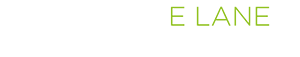 e-lane